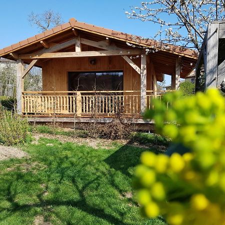 La Cabane Du Jardin Bongheat Exterior foto